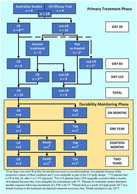 Intratumoural Treatment of 18 Cytologically Diagnosed Canine High-Grade Mast Cell Tumours With Tigilanol Tiglate